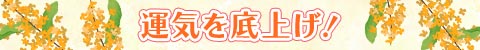 ^CグI