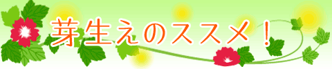 萶̃XXI