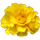icon1
