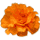 icon2