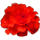 icon3