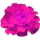 icon4