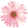 icon1