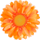 icon2