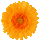 icon2