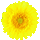 icon3